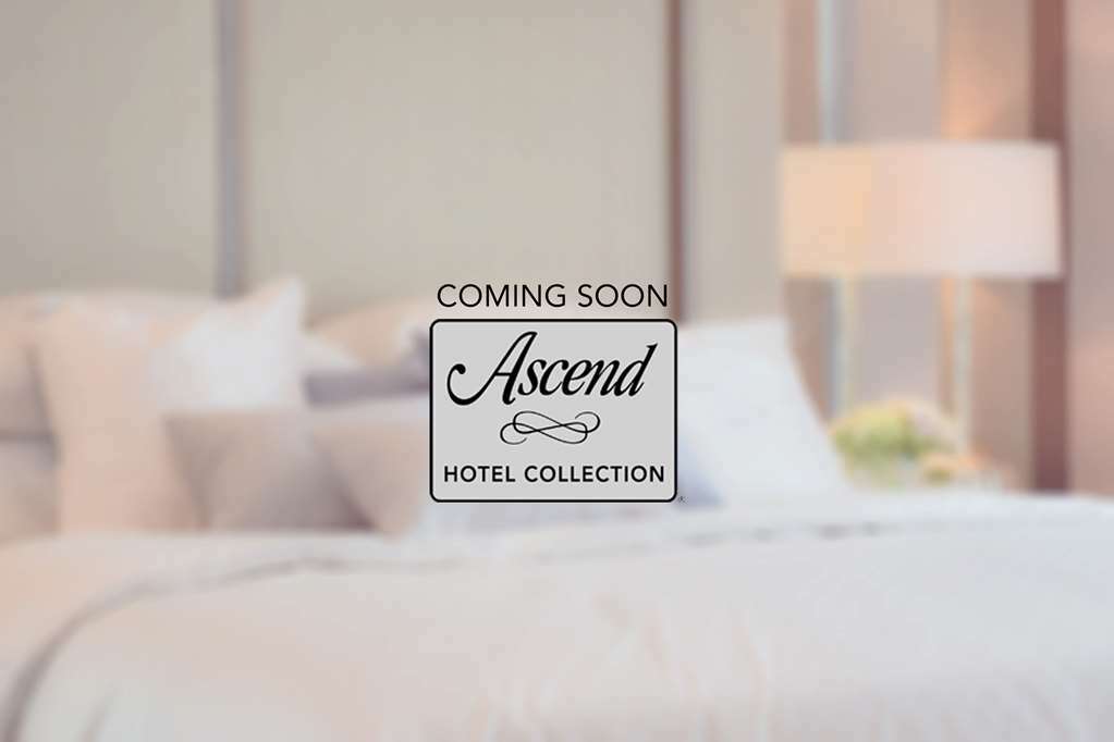 818 Hotel + Pool, Ascend Hotel Collection By Choice ロサンゼルス エクステリア 写真